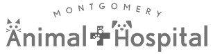 animal-hospital